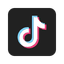 TikTok Icon